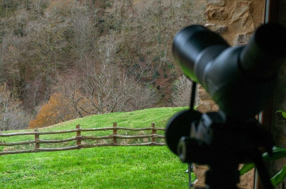 Kabania Asturias Desconecta en la naturaleza en El Bosque